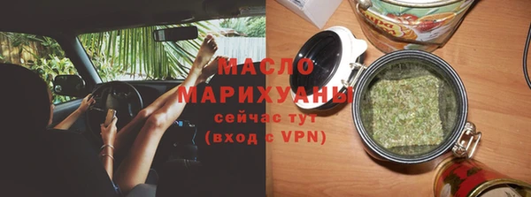 молекула духа Елабуга