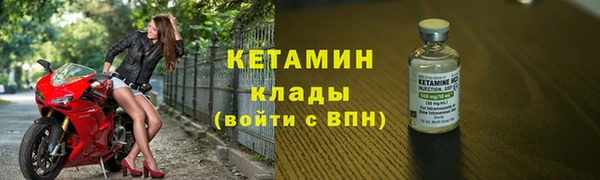 кокс Ельня