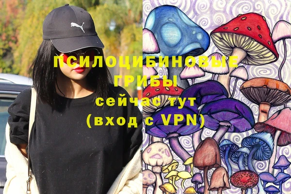 кокс Ельня