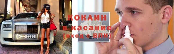 кокс Ельня