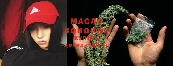 молекула духа Елабуга