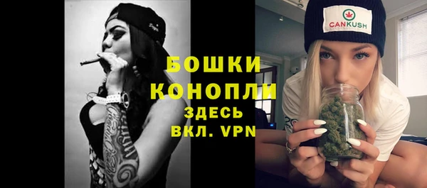 кокс Ельня