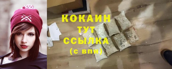 молекула духа Елабуга