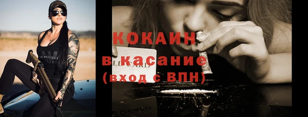 молекула духа Елабуга