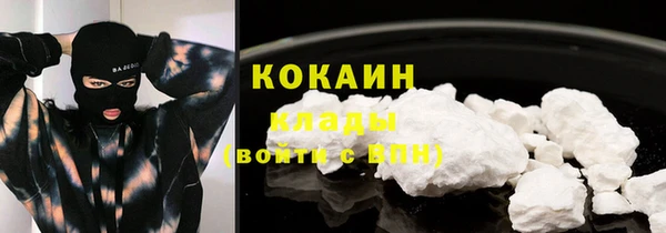кокс Ельня