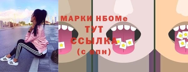 молекула духа Елабуга