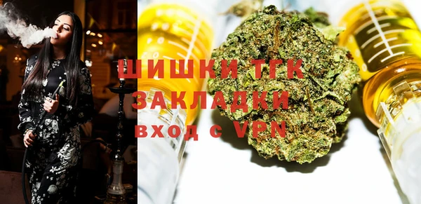 молекула духа Елабуга
