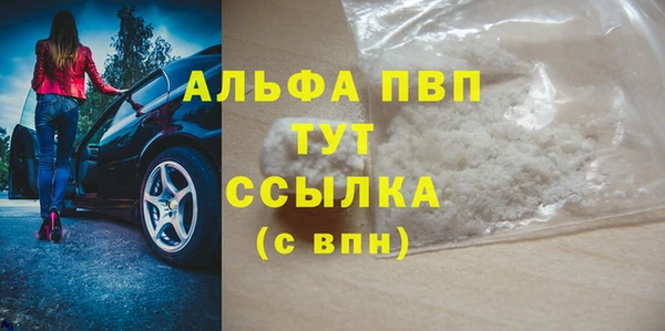 молекула духа Елабуга