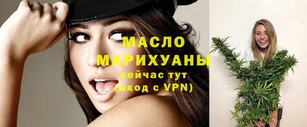 молекула духа Елабуга