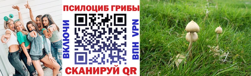 Купить где  Переславль-Залесский  Псилоцибиновые грибы мухоморы 